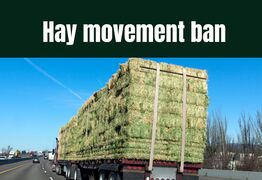 Hay movement ban