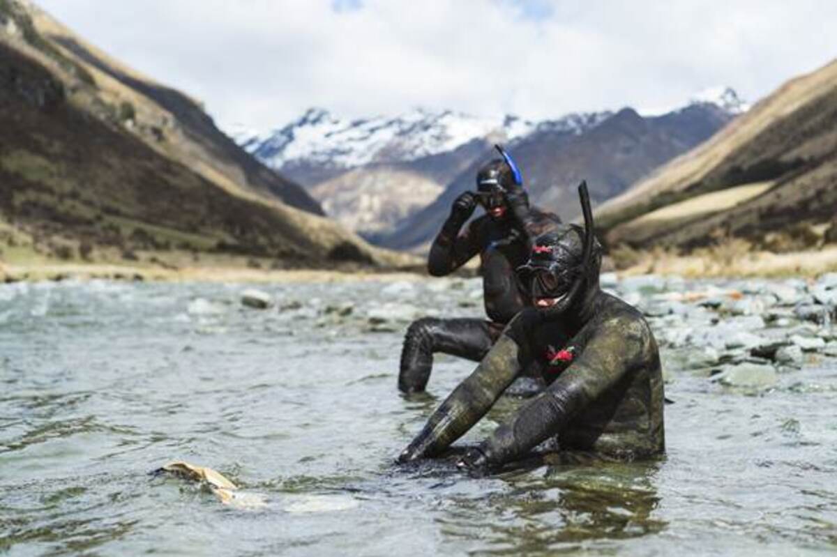 Crystal clear waters yield valuable fish data