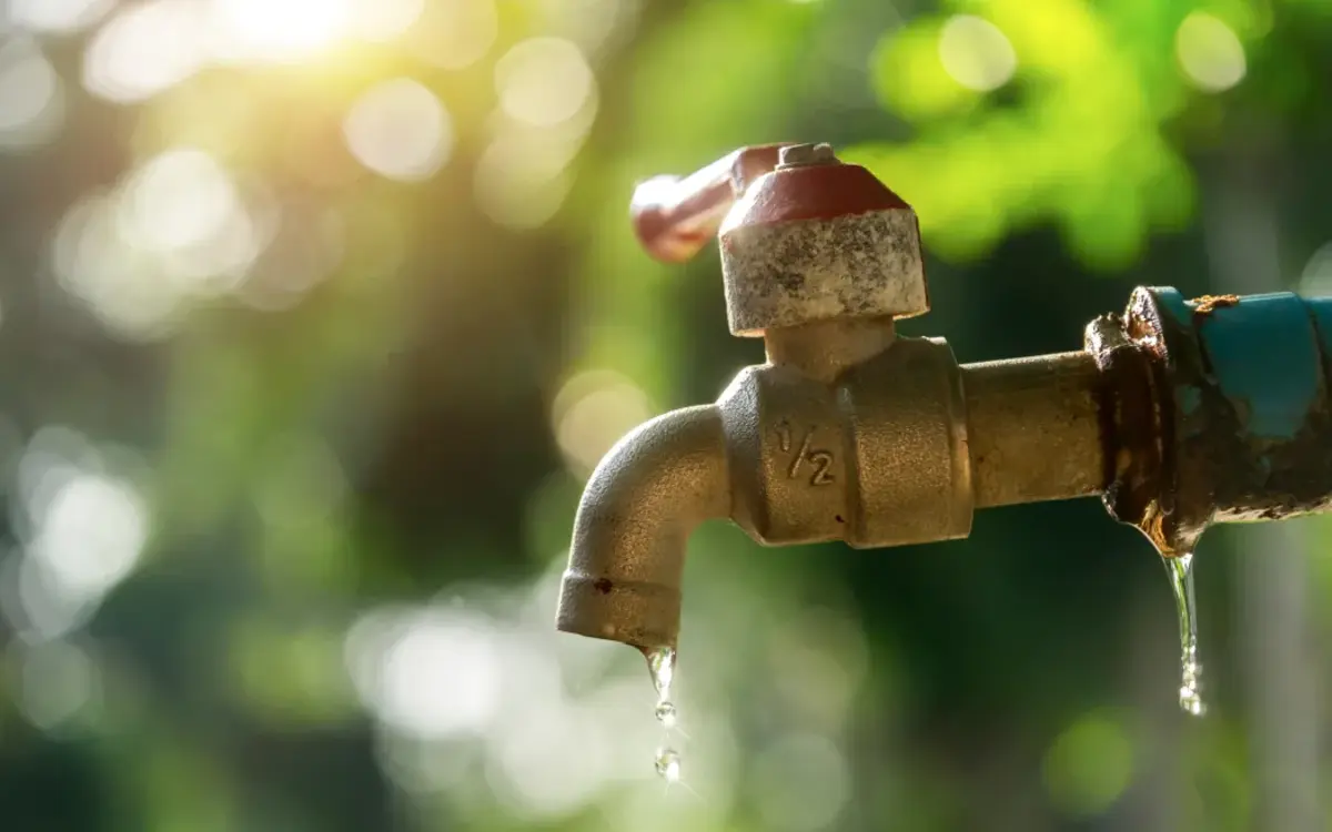 Auckland councillor concerned over impact of wastewater system