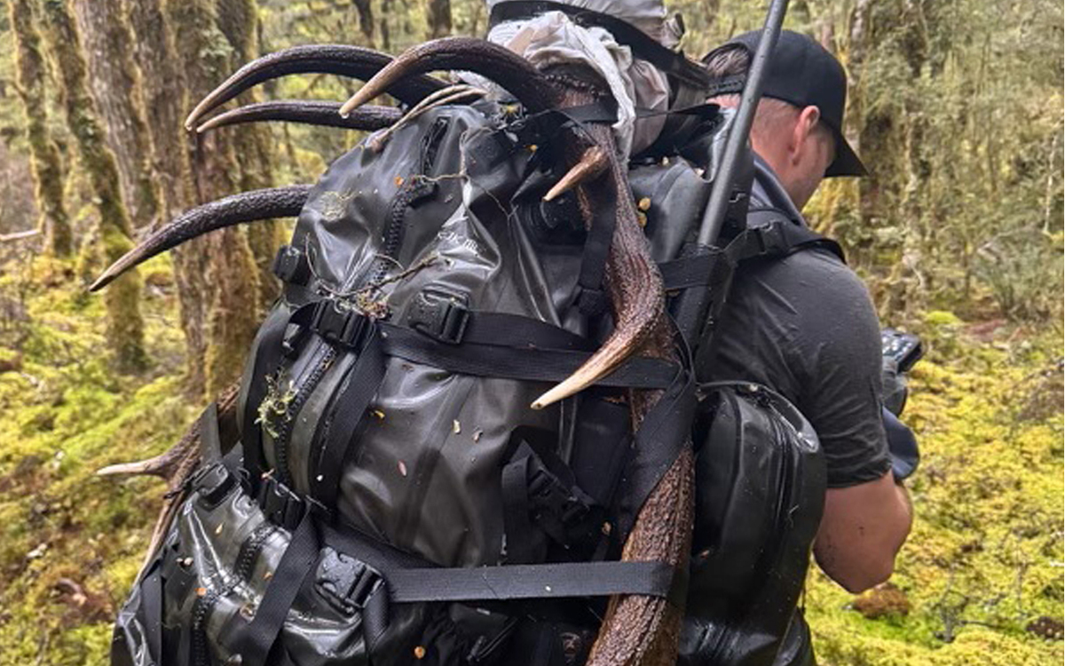 Fiordland Wapiti ballot attracts 600 hunters