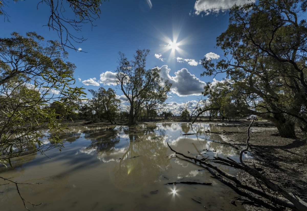 Record rainfall for Walgett and Lightning Ridge