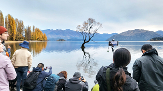 Tourism resourcing issues in spotlight