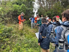 Walk the coast and help bring it back to life