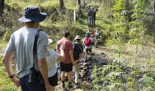 NPWS Discovery Program revamped in time for bushwalking season