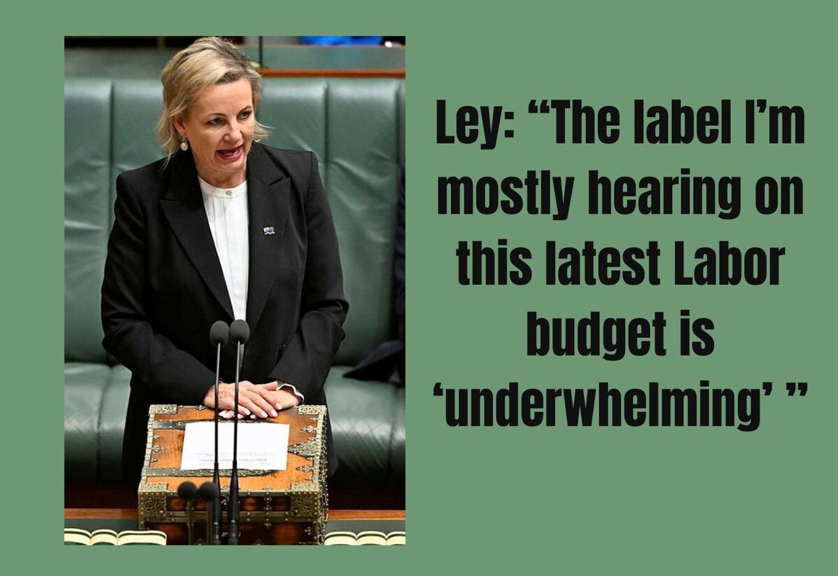 Ley responds to Federal Budget