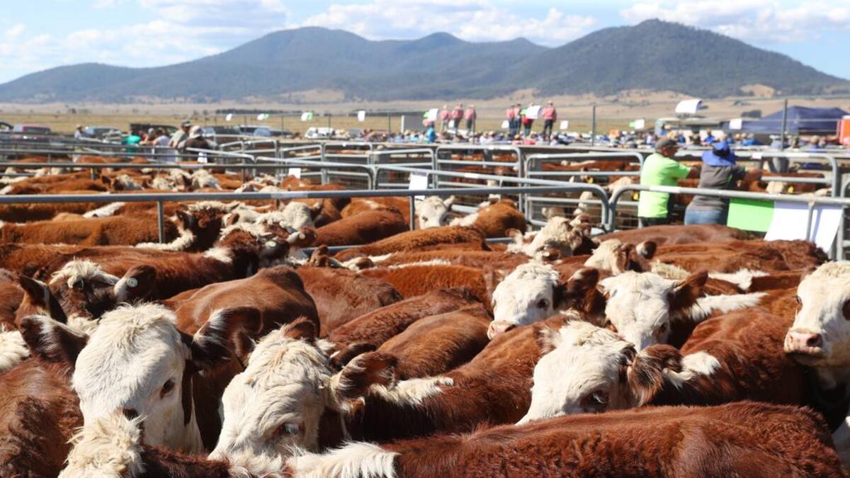 Tariffs to affect Australian farmers and American consumers: NSW Farmer's Association