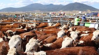 Tariffs to affect Australian farmers and American consumers: NSW Farmer's Association