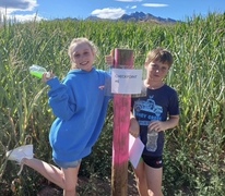 Maize maze offers family fun