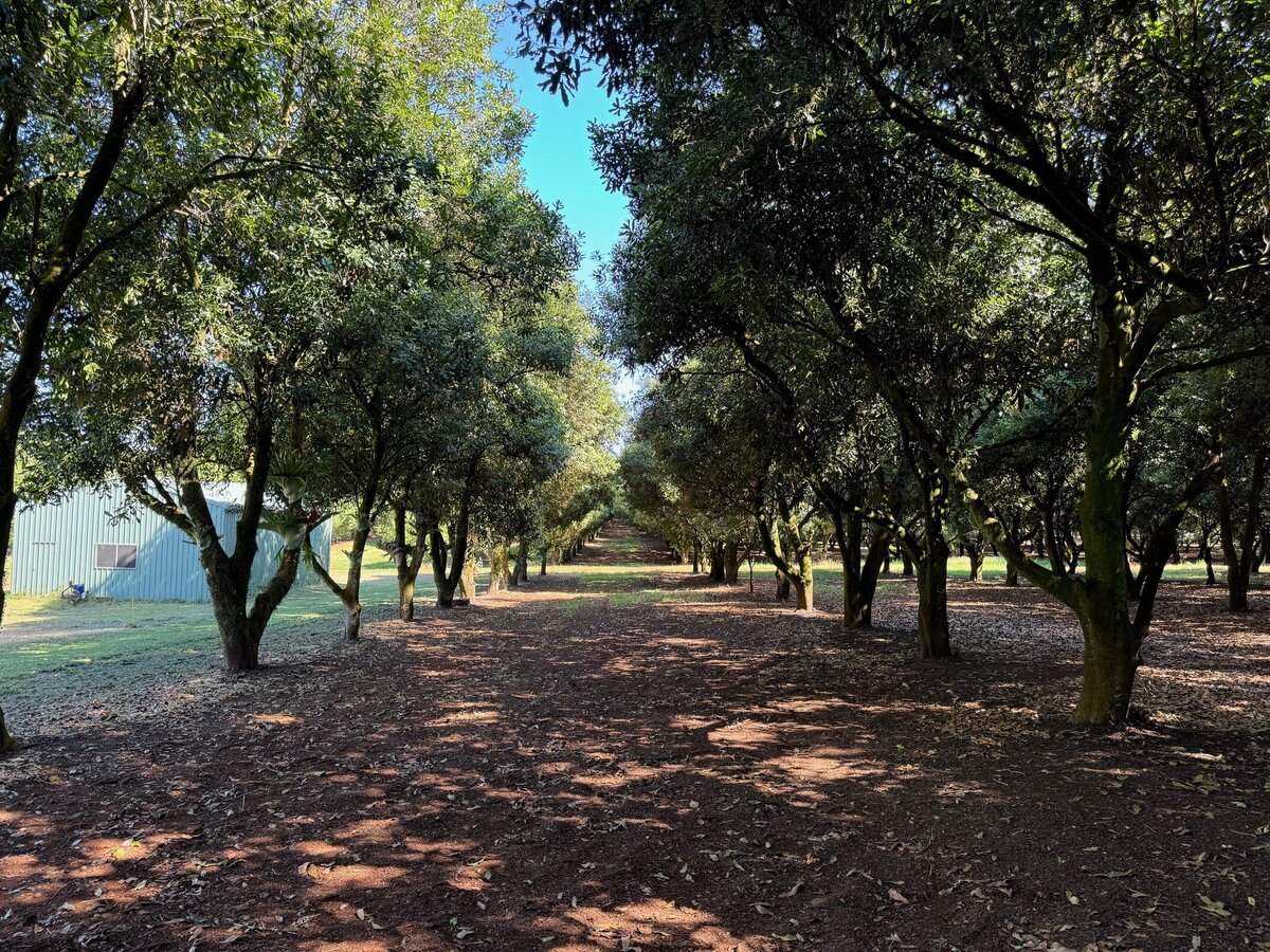 Consistent wet weather has farmers worried about harvests, crops and production