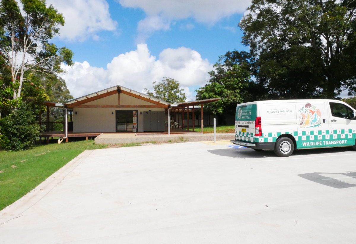 Northern Rivers Wildlife Hospital opens — first patients receiving treatment