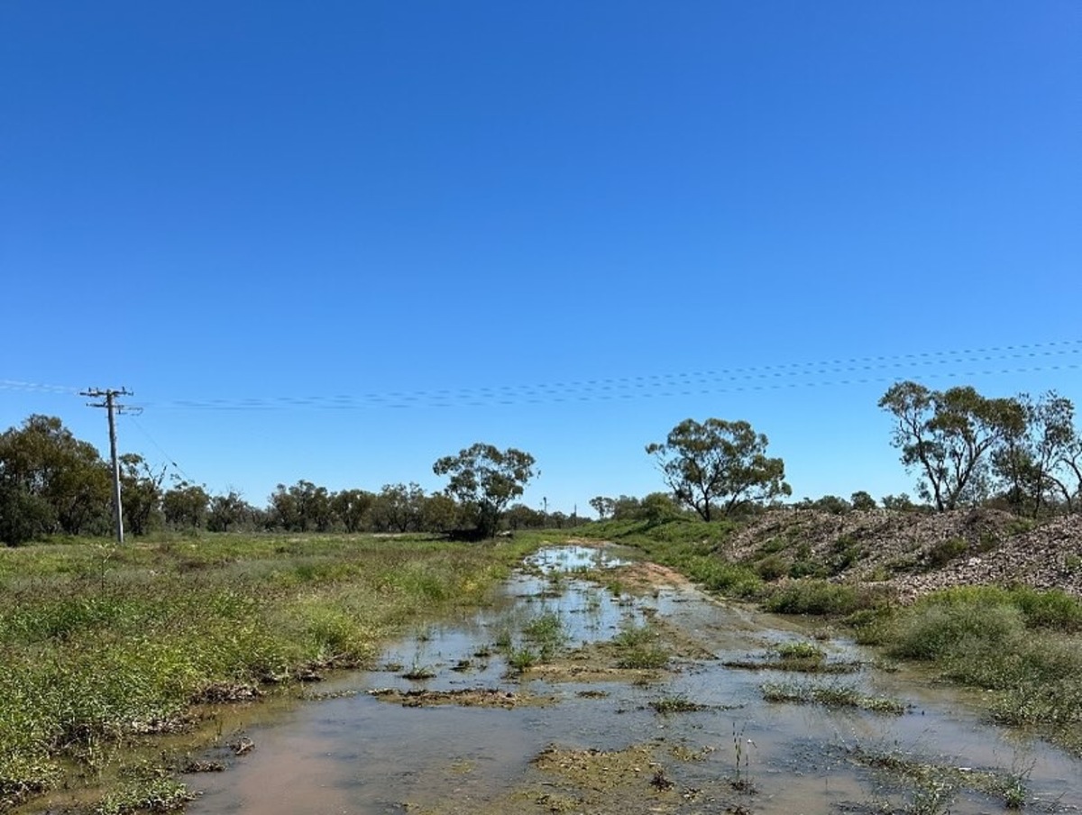 Race Day without the horses at Lightning Ridge