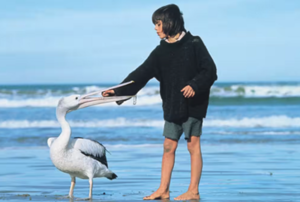 Rediscovering Storm Boy: A journey through the Coorong