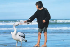 Rediscovering Storm Boy: A journey through the Coorong