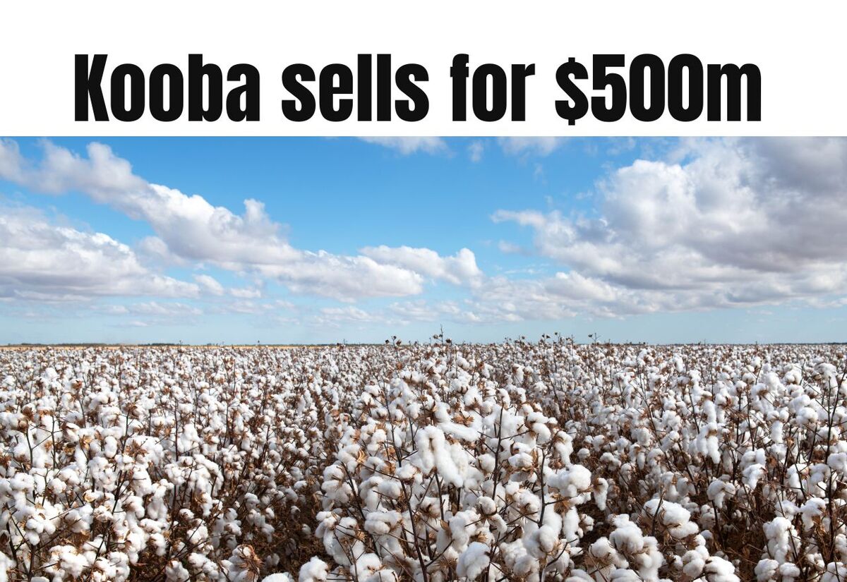 $500m sale of Kooba has local connection