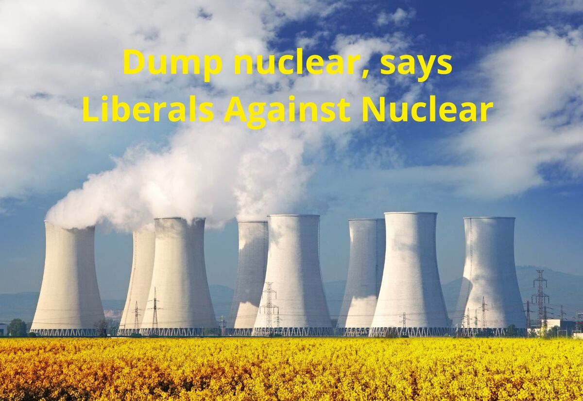  Election 2025 – Dump nuclear, restore momentum says Liberals Against Nuclear 