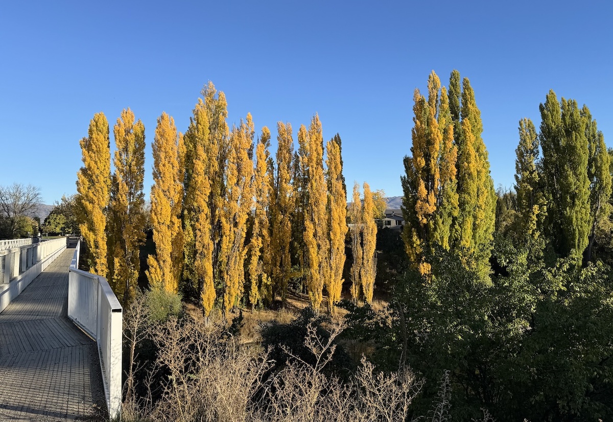 Easter weather settled, a few showers for Central