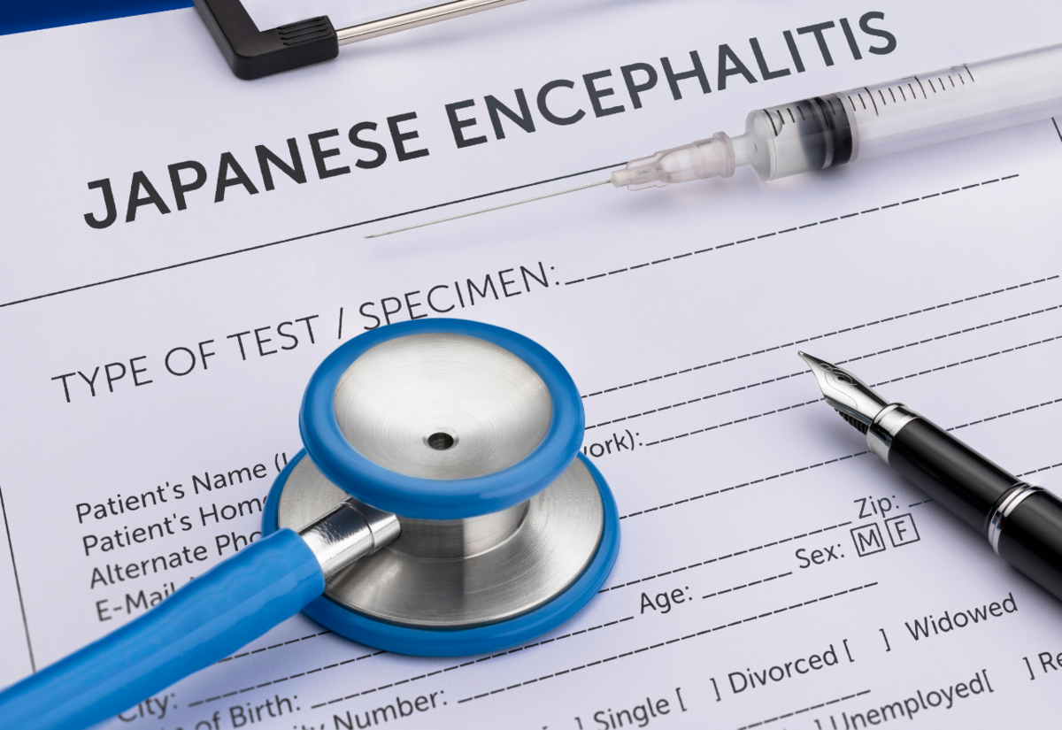 Lismore, Kyogle and Richmond Valley included in free access to Japanese encephalitis vaccine