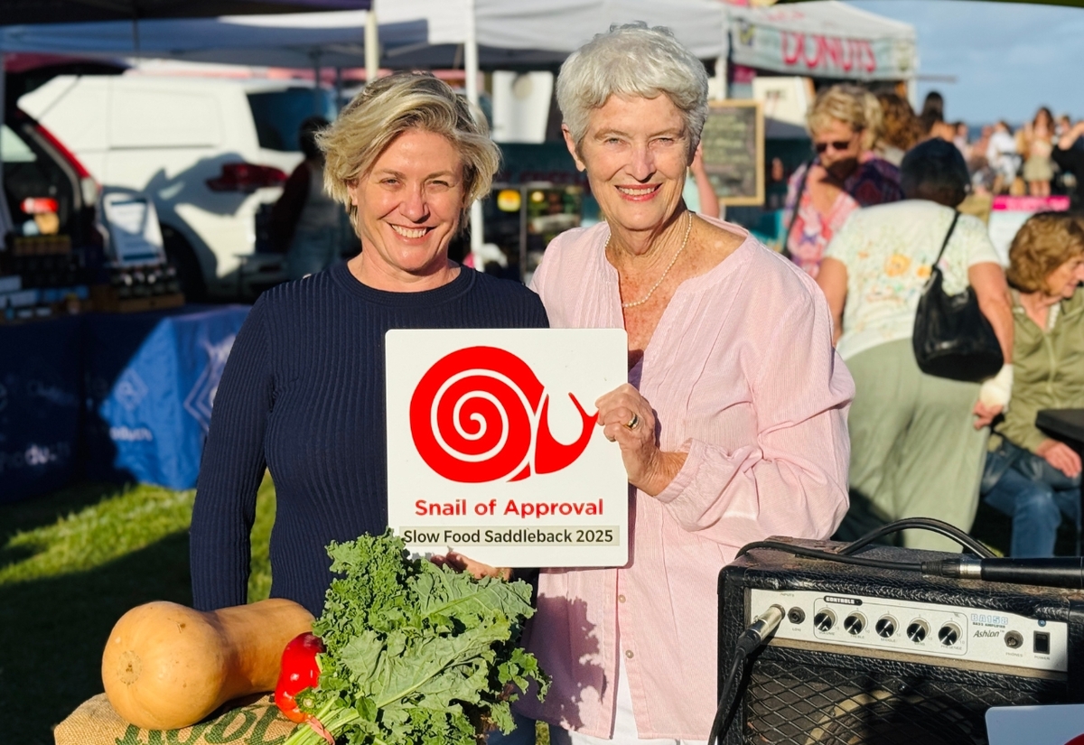 Woolworths boomgates plan raises red flags at Council