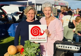 Woolworths boomgates plan raises red flags at Council