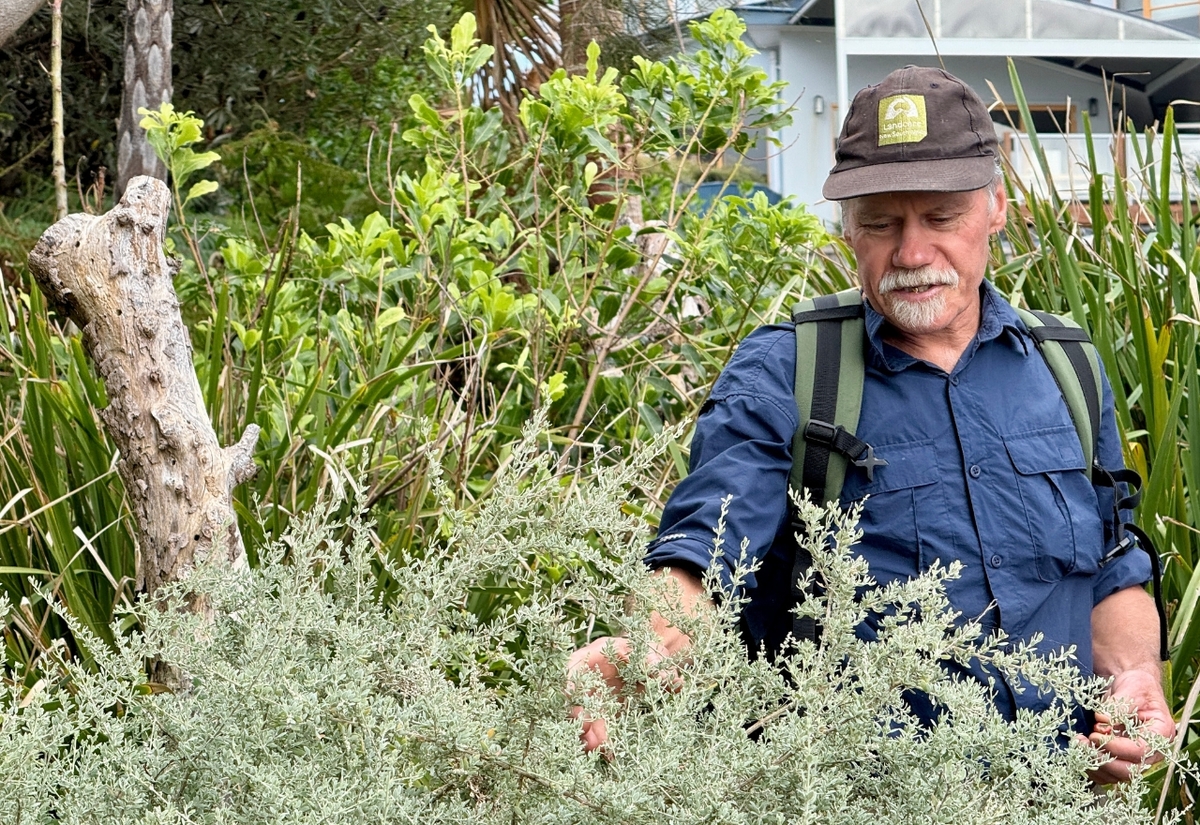  Landcare coastal walk draws a crowd in highlighting local wisdom