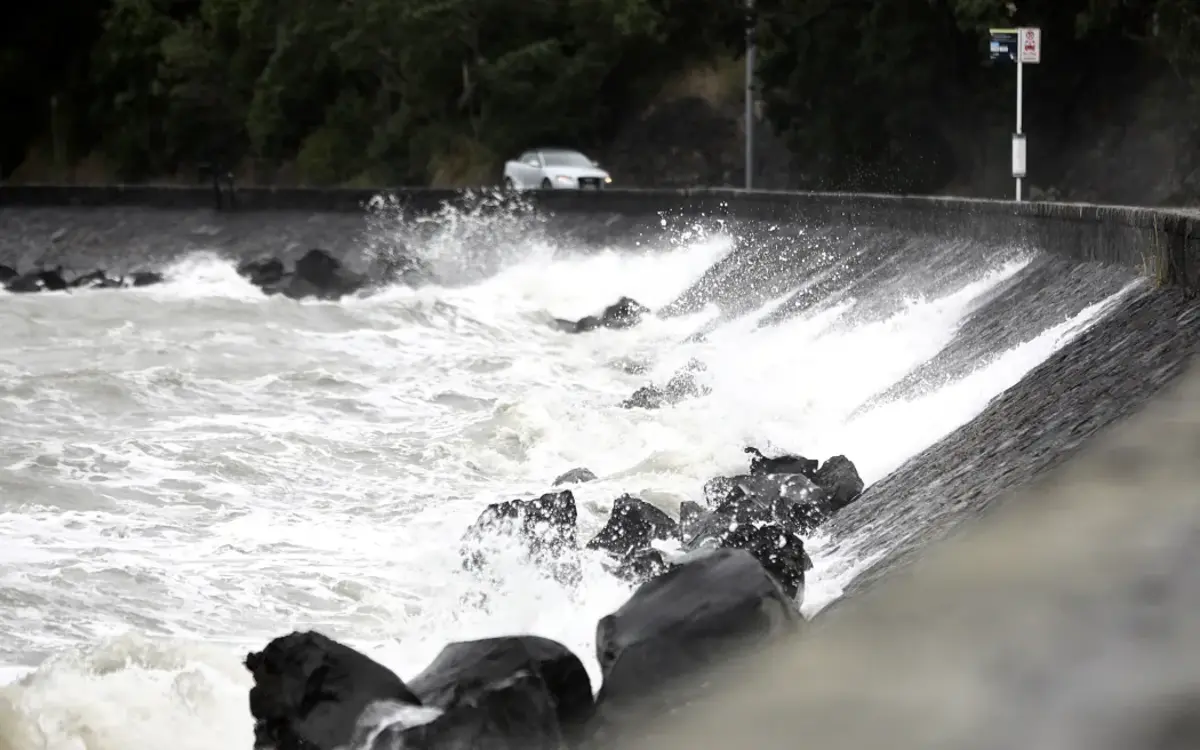 Flight and ferry cancellations in Auckland