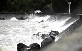 Flight and ferry cancellations in Auckland