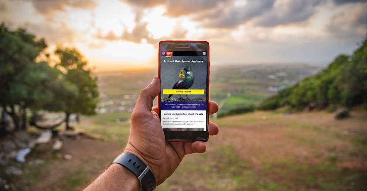 Auckland Returns to Open Fire Season