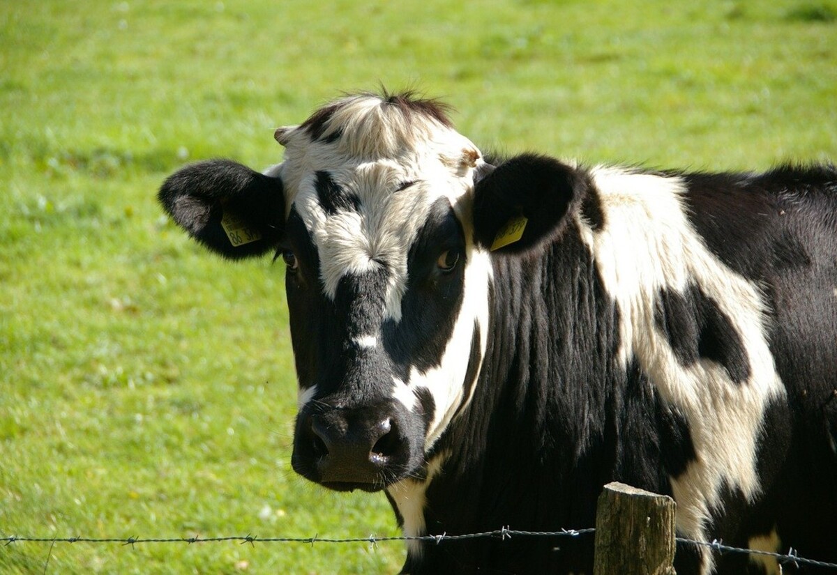 Interactive farming event invites expert panel discussion