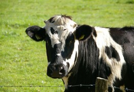 Interactive farming event invites expert panel discussion