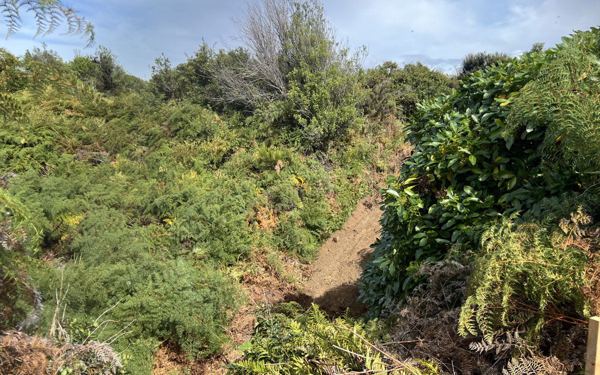 Pinch points halt Fiordland's latest multi-trail extension