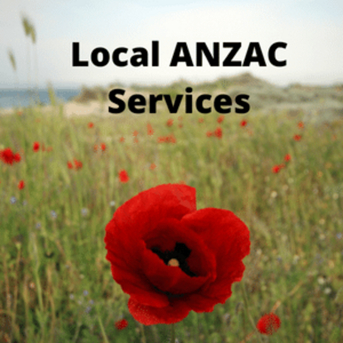 Western plains honours our fallen