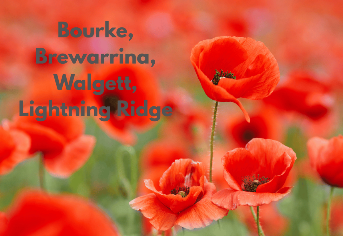 RSL Club president calls on candidates to help veterans and families