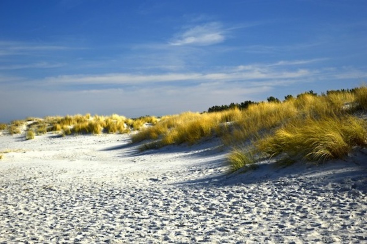 Coastal councils call for national response to climate risks