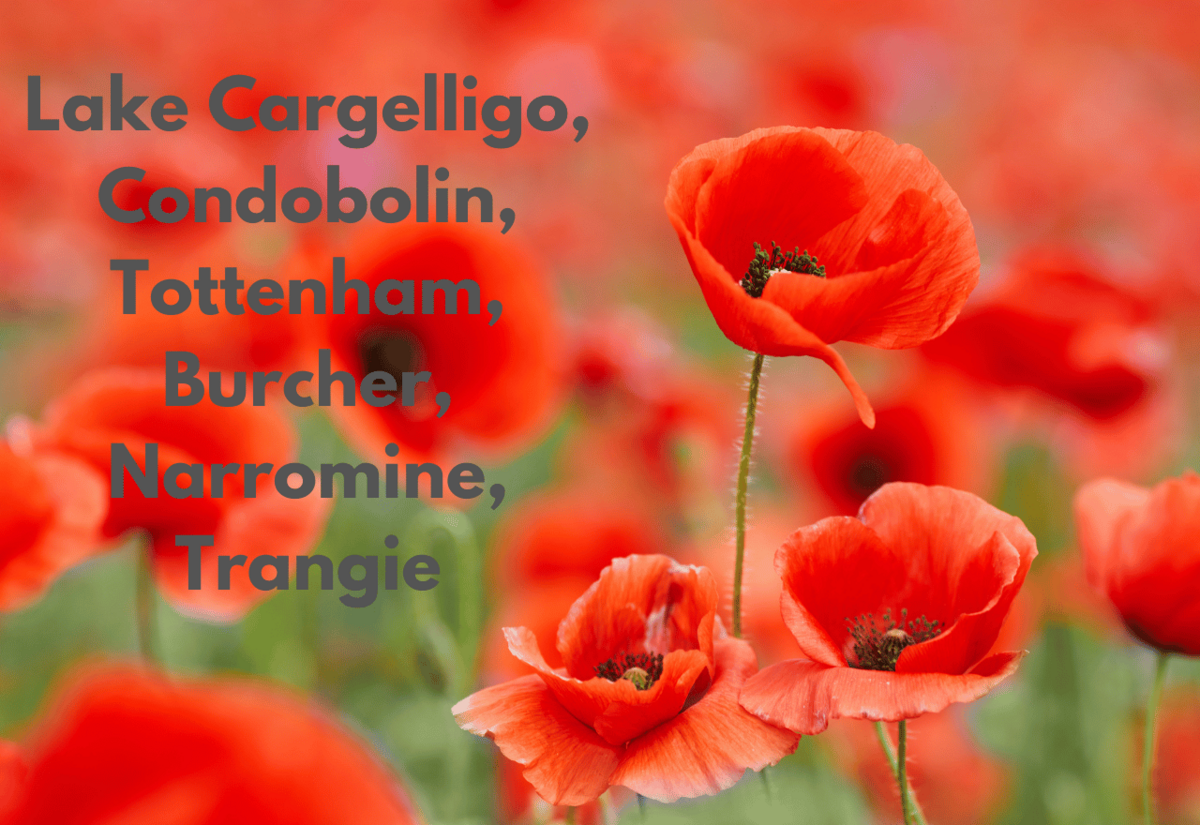 ANZAC arrangements Lachlan and Narromine shires