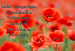 ANZAC arrangements Lachlan and Narromine shires