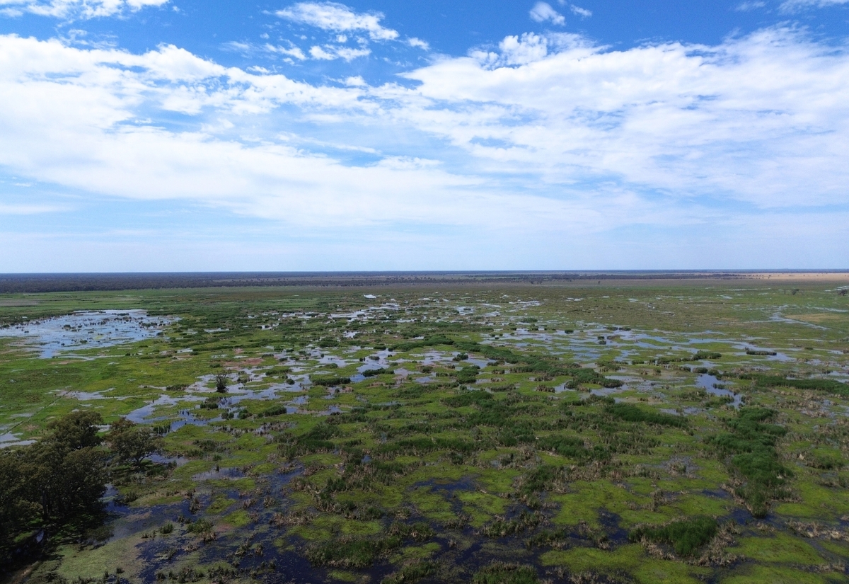 Gold explorer withdraws application to drill in Macquarie Marshes