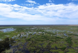 Gold explorer withdraws application to drill in Macquarie Marshes