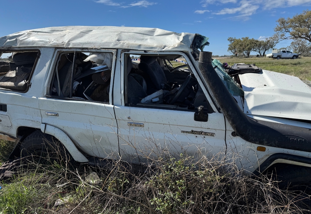 Man taken to hospital after hitting pig on Castlereagh Highway