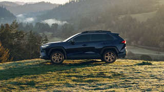 2025's Top Car Sales in NZ