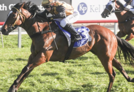 Narromine races back on Tuesday