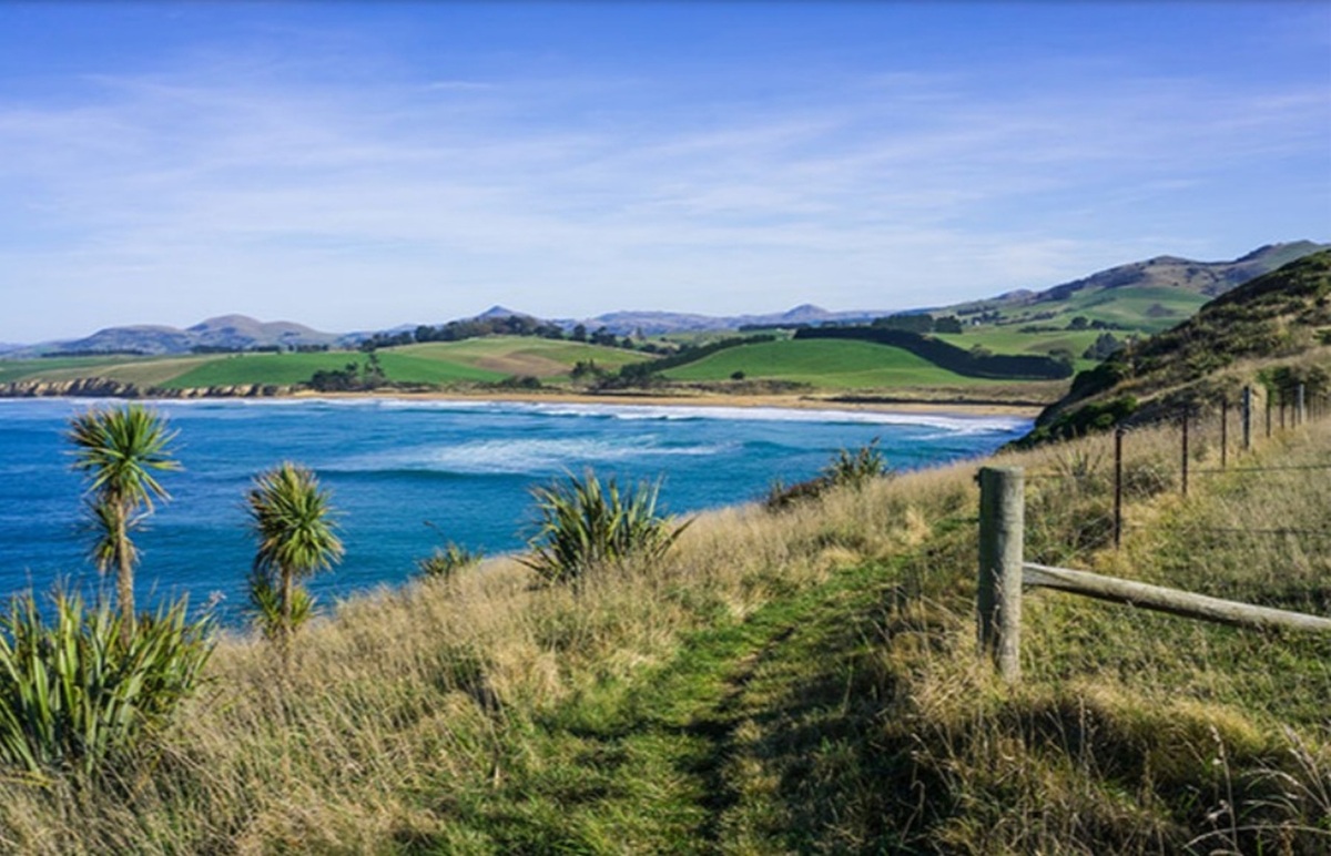 Variety of grant recipients benefit from latest funding round