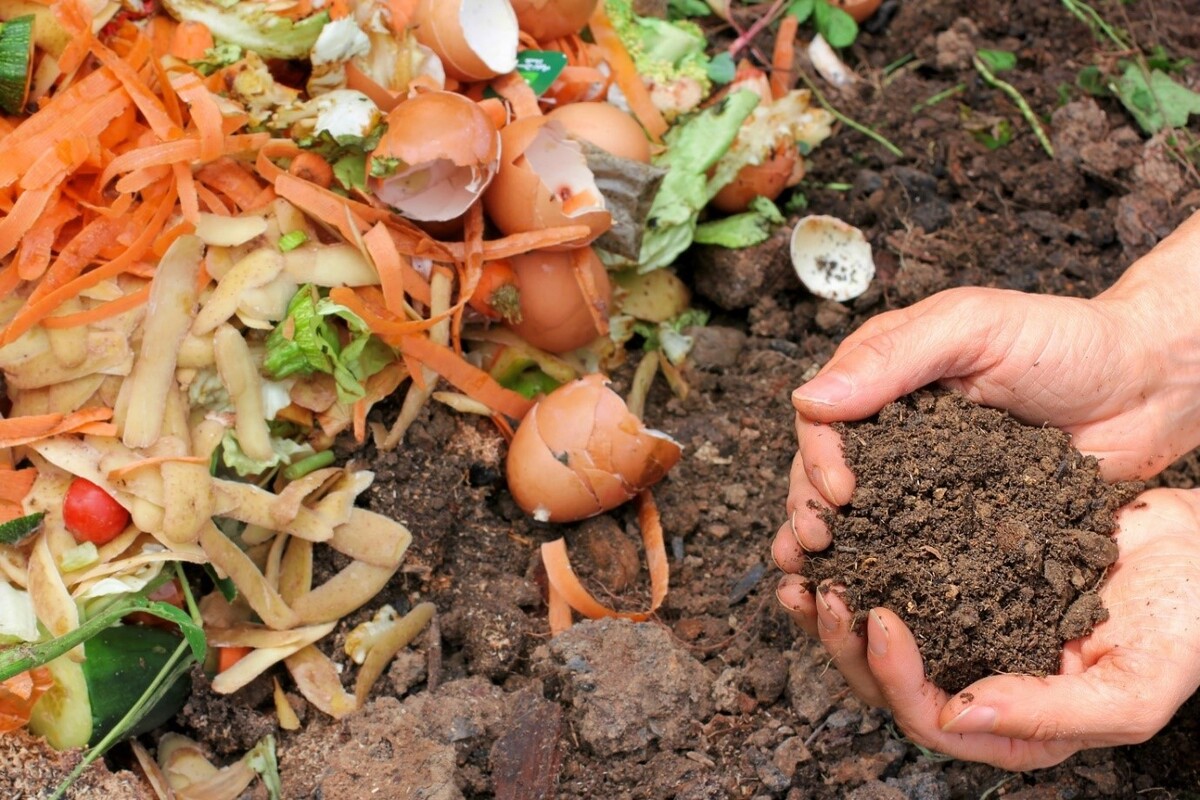 Compost Awareness Week starts today helping gardens the climate change