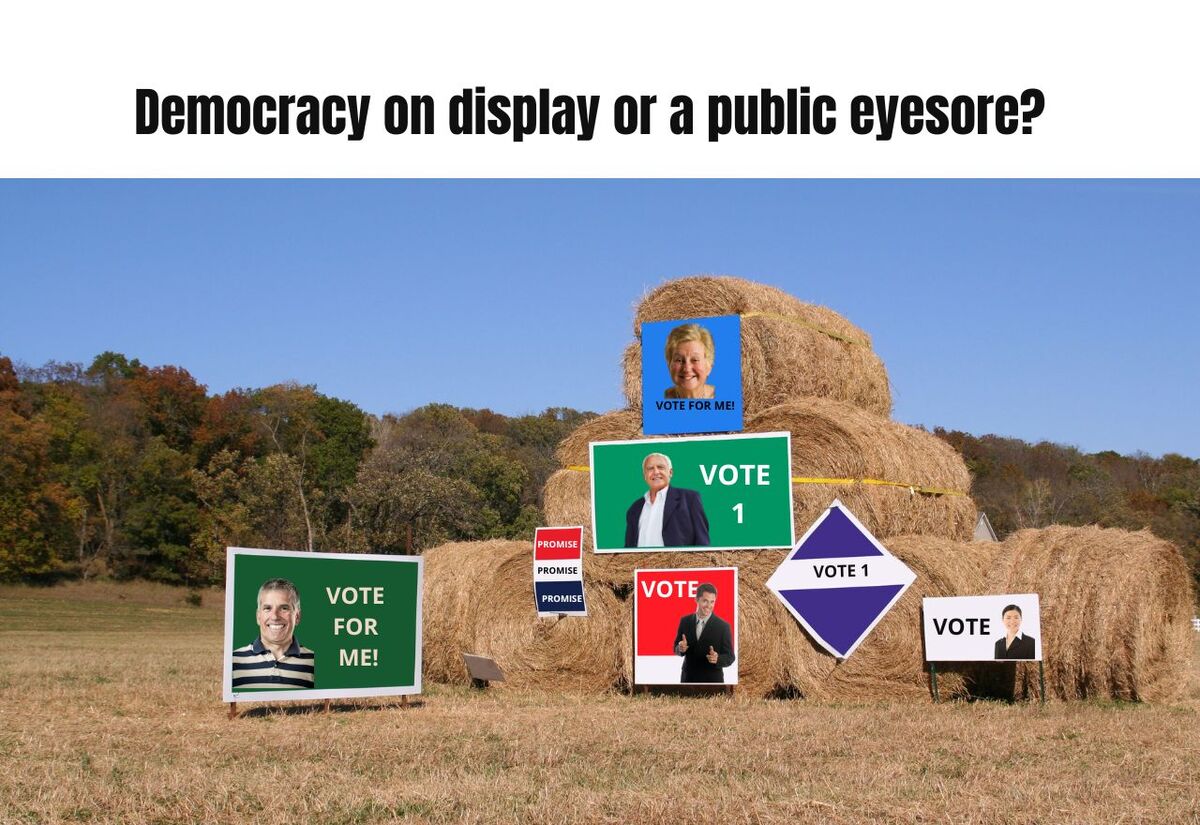 Democracy on display or a public eyesore? The case for cracking down on election corflutes