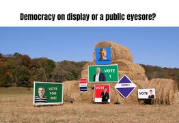 Democracy on display or a public eyesore? The case for cracking down on election corflutes