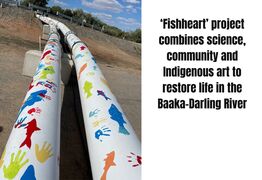  How a new ‘Fishheart’ project is combining science, community and Indigenous art to restore life in the Baaka-Darling River