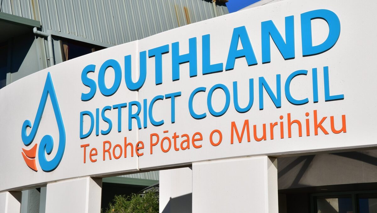 Merger report highlights issues with southern councils