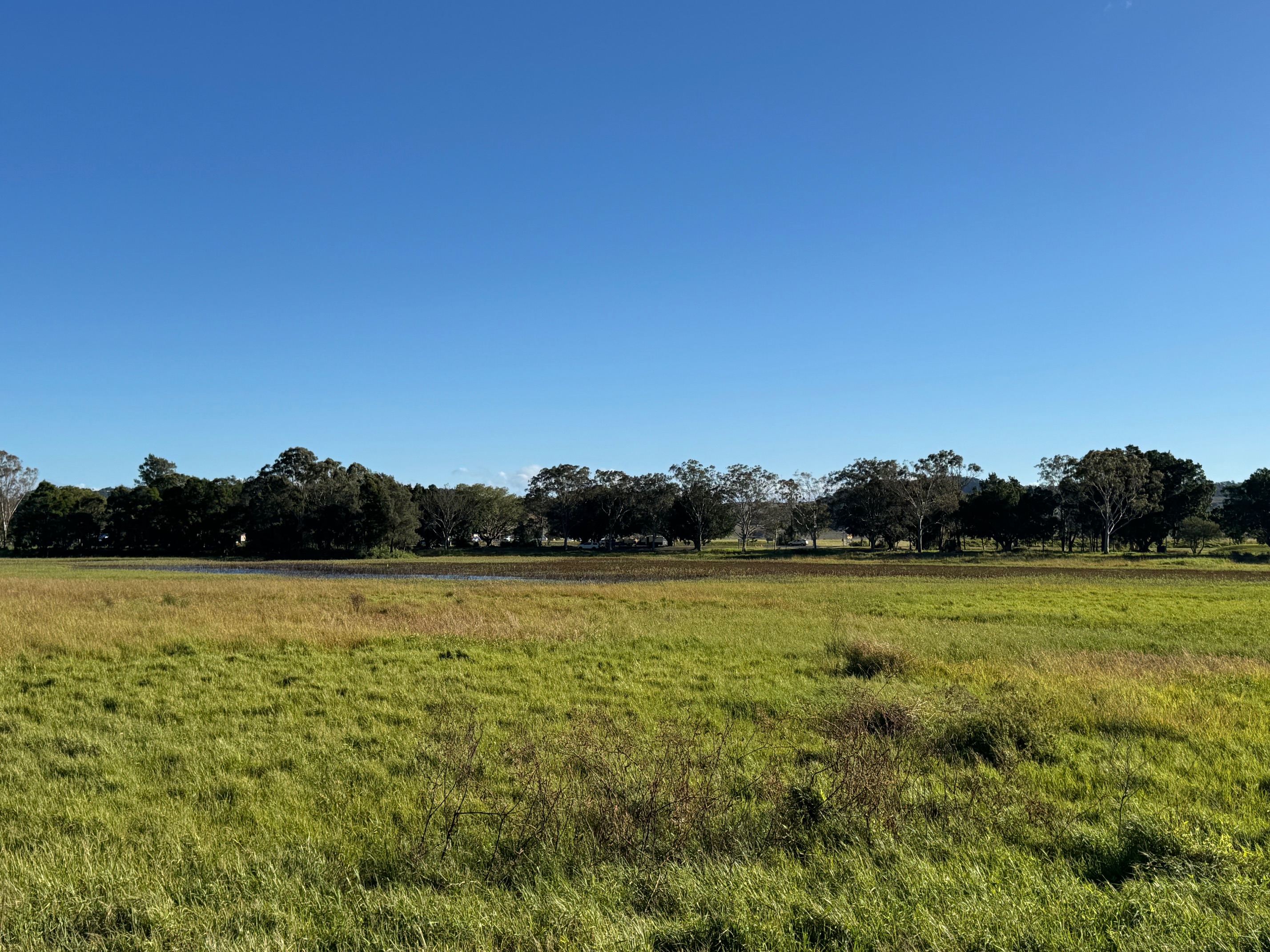 What's happening with the Lismore Lake revitalisation?
