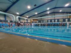 New-look Kiama Swim Club dives into rebrand