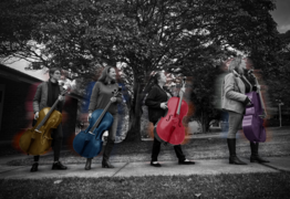 Gerringong Music Club presents: Cellissimo - A celebration of the cello