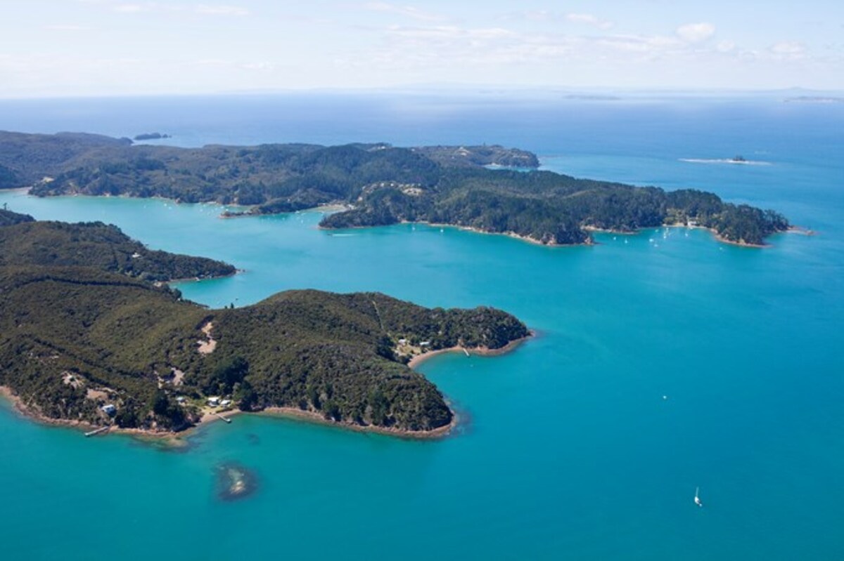 Pest eradication to remove wallabies and possums from Kawau Island gets under way